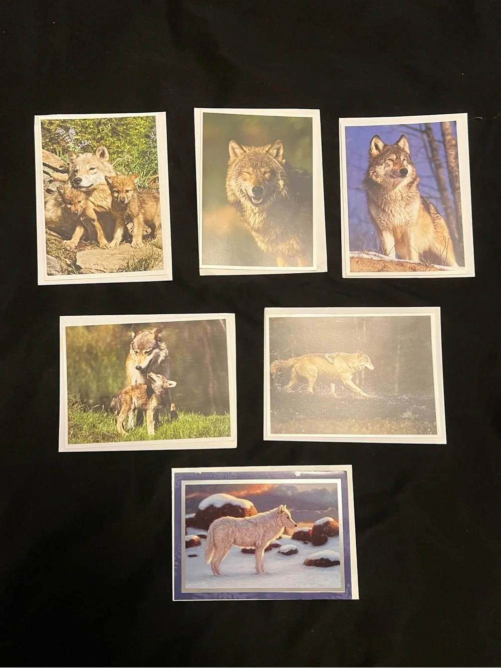 Wolf Greeting Card Bundle